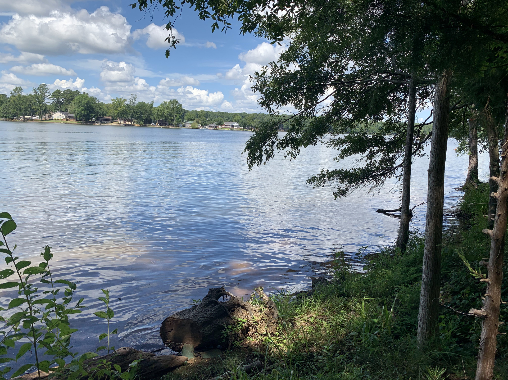 Shoreline Views  |  Lake Murray, South Carolina