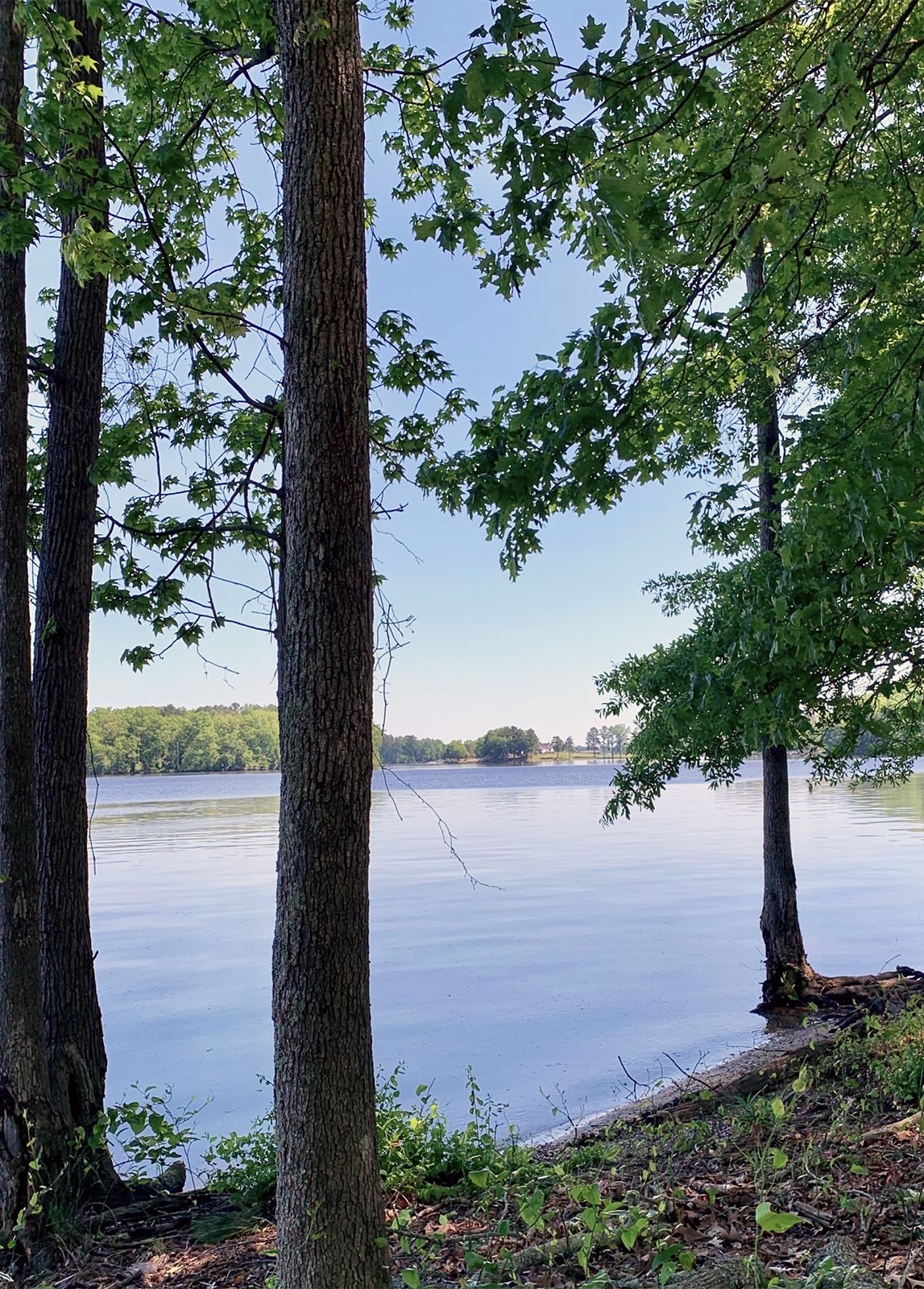Life on Lake Murray  |  About the Lake