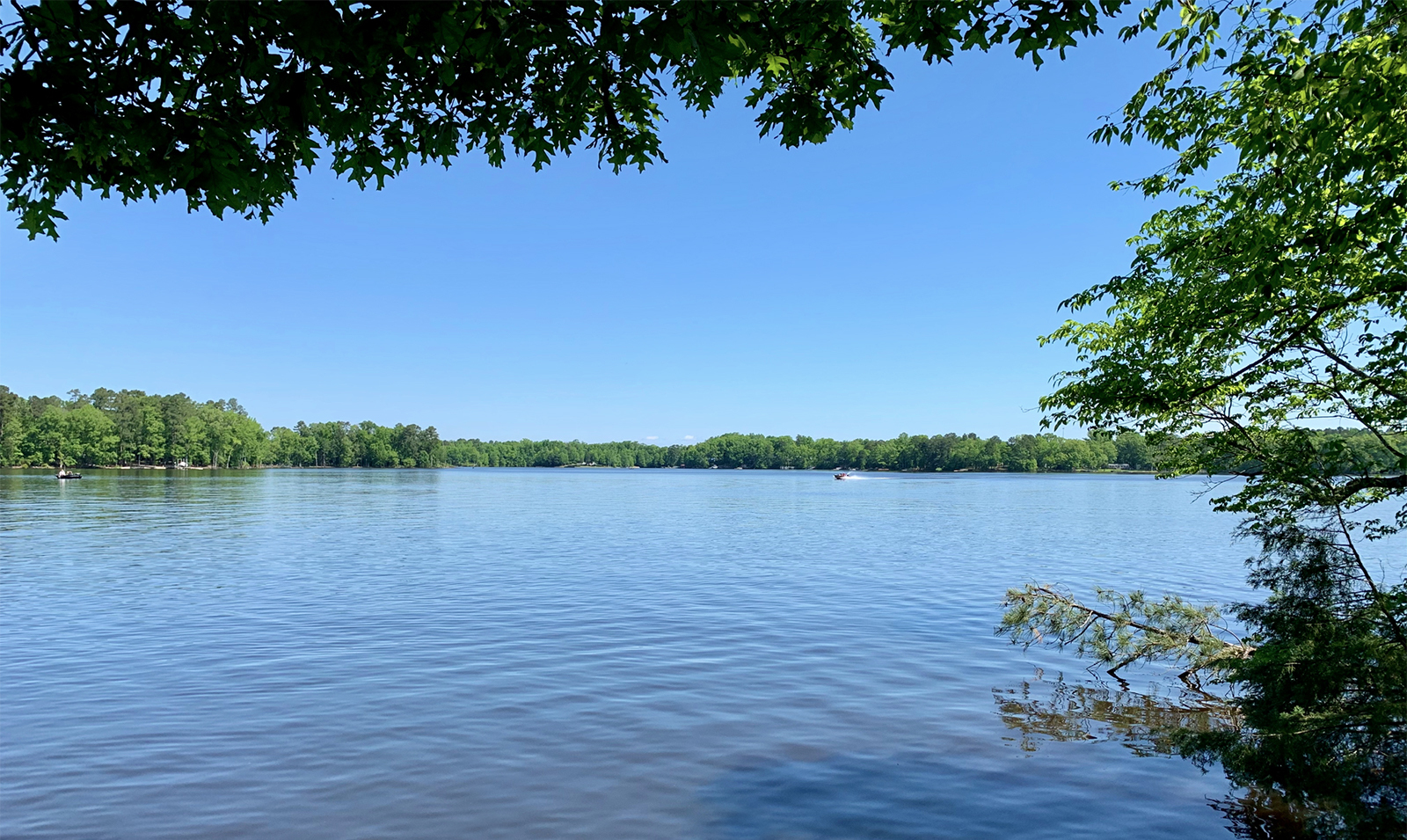About the Lake  |  Lake Murray, South Carolina